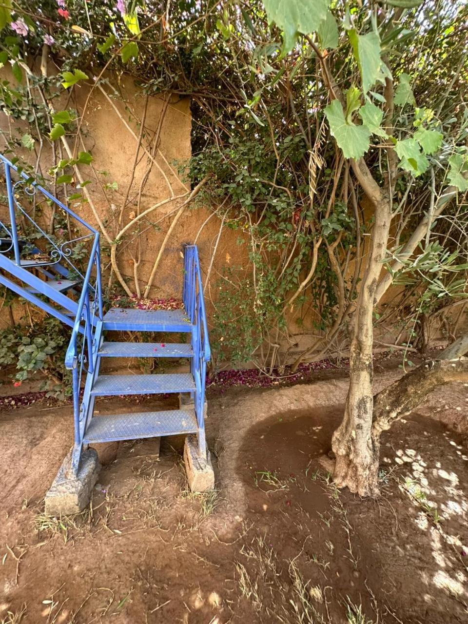 מרקש Villa Ms Holidays Mika Privatisee Marrakech מראה חיצוני תמונה