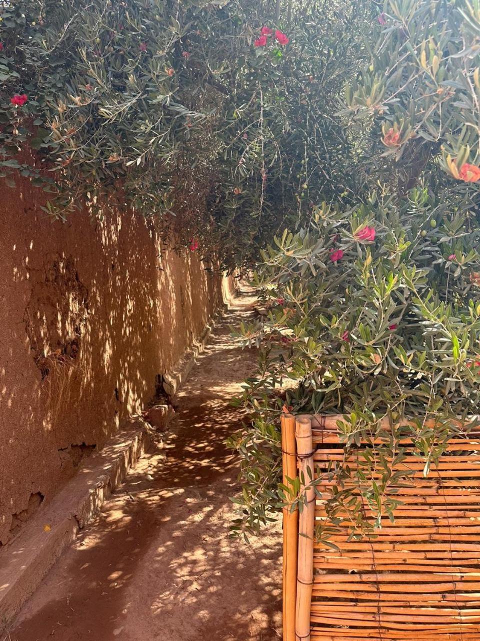מרקש Villa Ms Holidays Mika Privatisee Marrakech מראה חיצוני תמונה