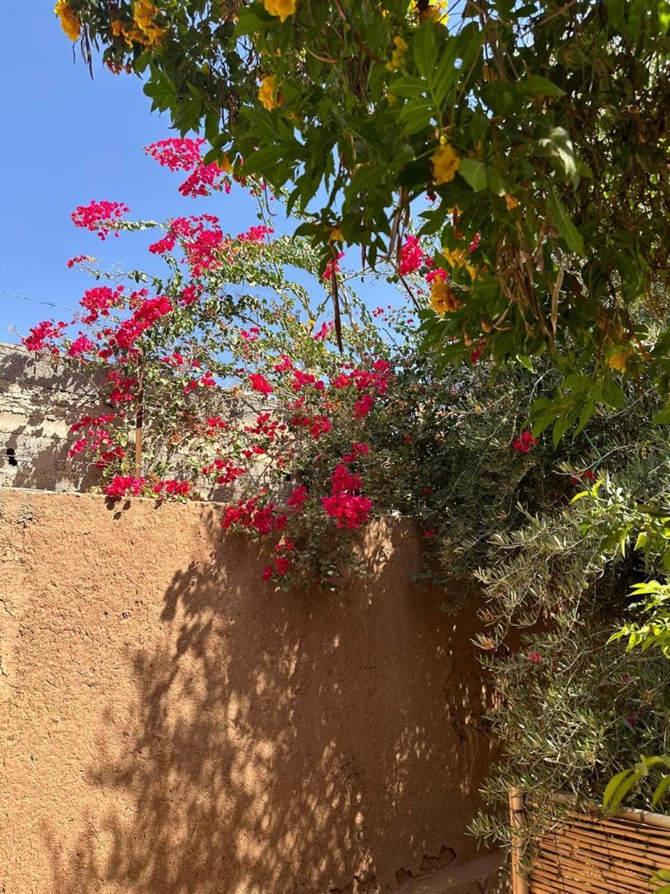 מרקש Villa Ms Holidays Mika Privatisee Marrakech מראה חיצוני תמונה